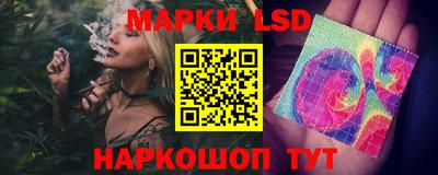 apvp Свободный