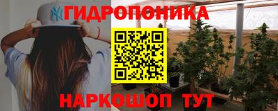 apvp Свободный