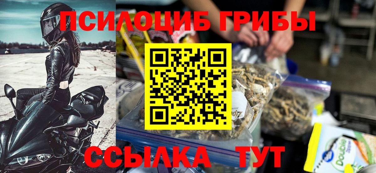 Галлюциногенные грибы мицелий Сертолово